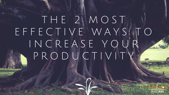 The 2 Most effective ways to increase your productivity