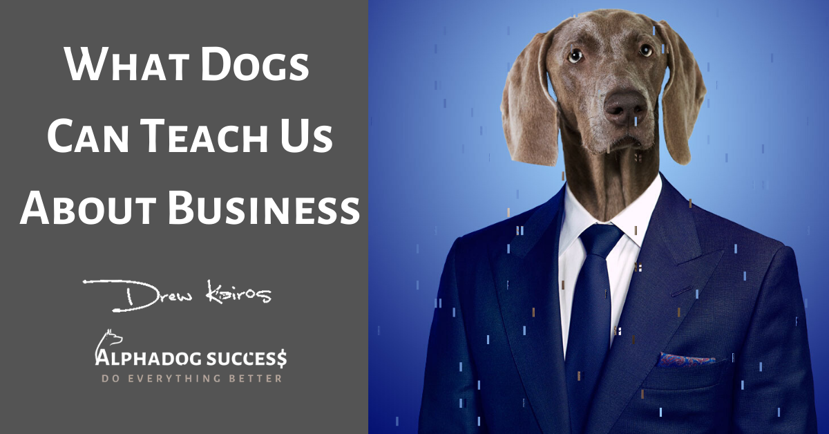 What Your Dog Can Teach You About Business