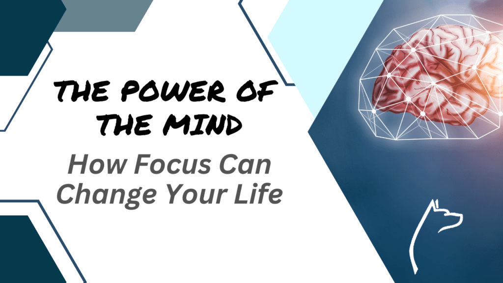 The Power of The Mind: How Focus Can Change Your Life